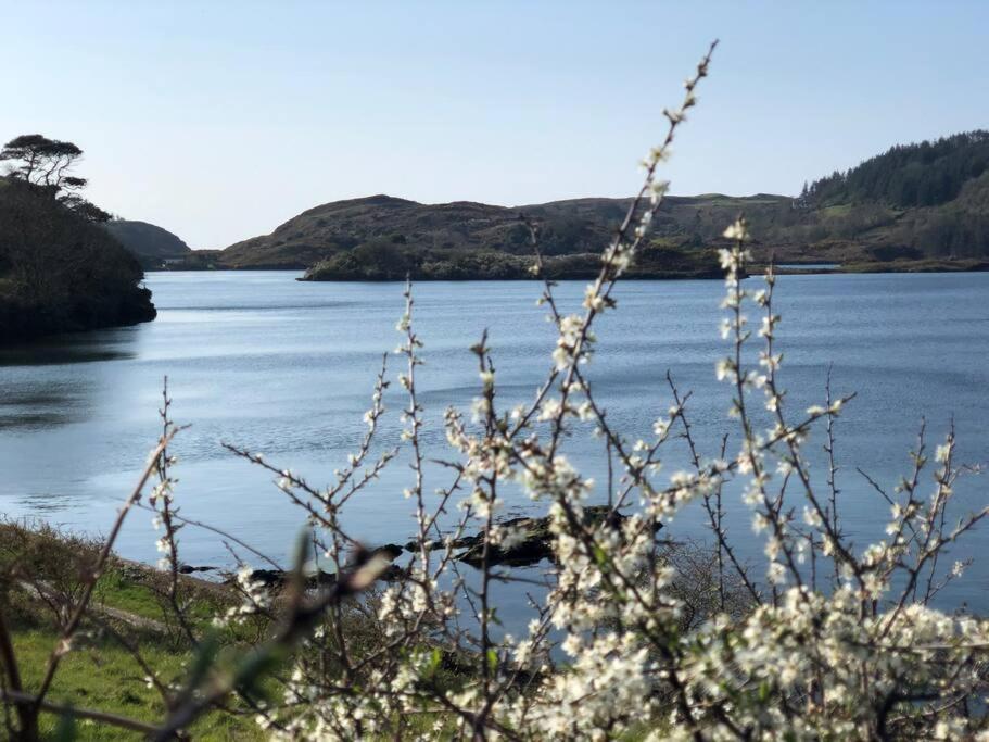 Lough Hyne Cottage Skibbereen Exteriér fotografie